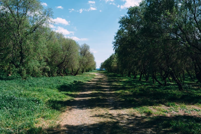Psytalleia island just of the coast of Athens is home to a waste treatment installation.