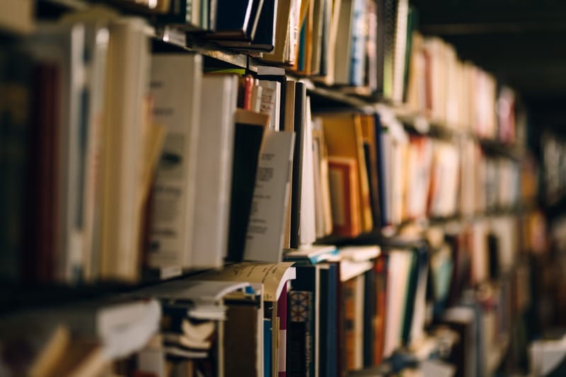 A walk through the vast parliametn building and its hidden chambers