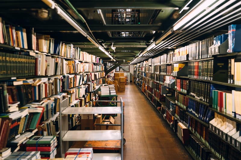 A walk through the vast parliametn building and its hidden chambers