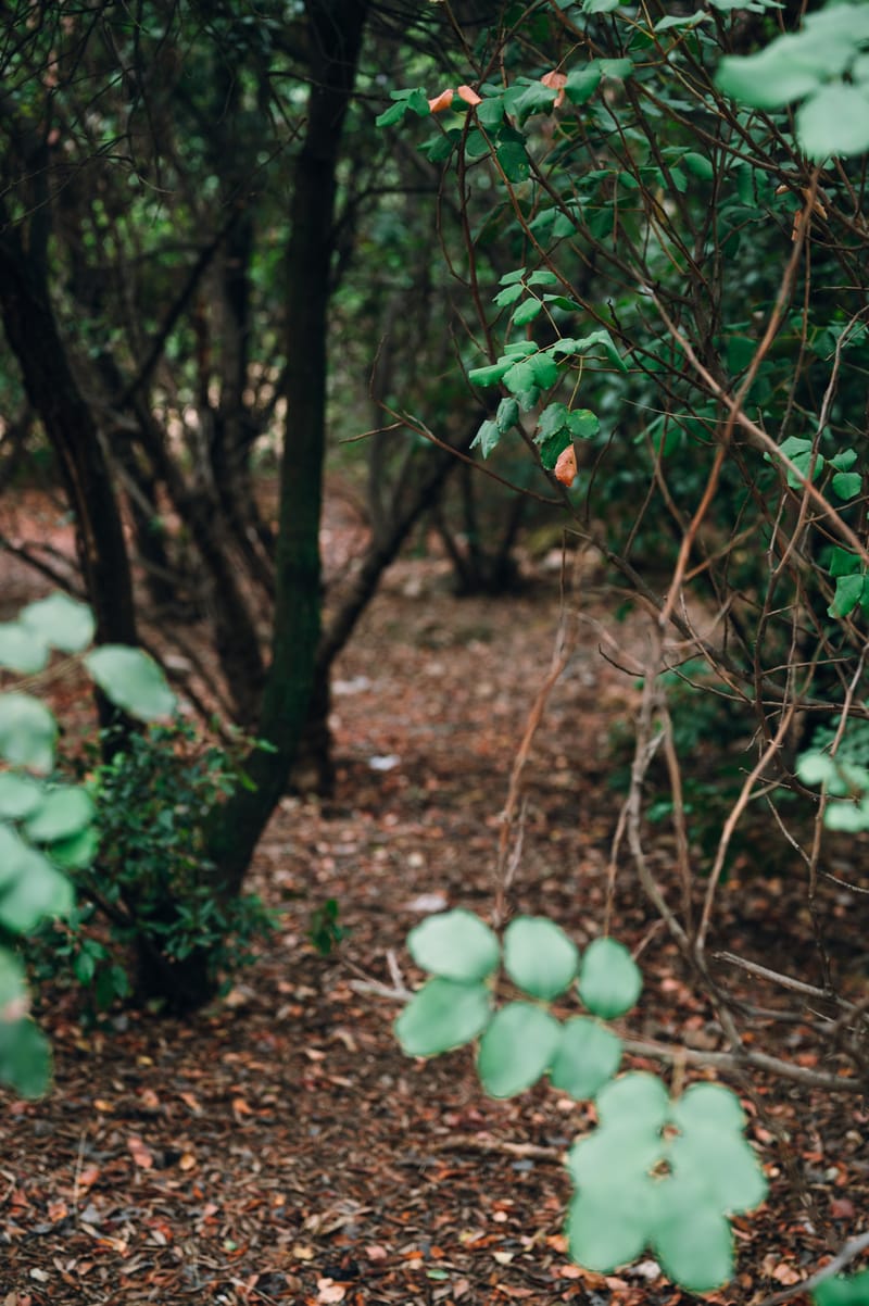 The iconic hill of Athens, its obvious and hidden stories