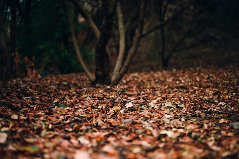 The iconic hill of Athens, its obvious and hidden stories
