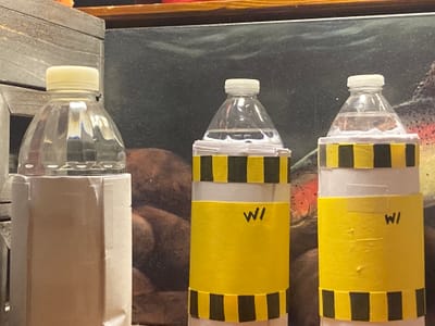 King Adds a New Branch of Military