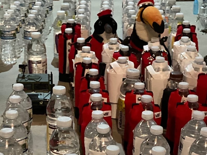 His Majesty’s Hats Off March of December