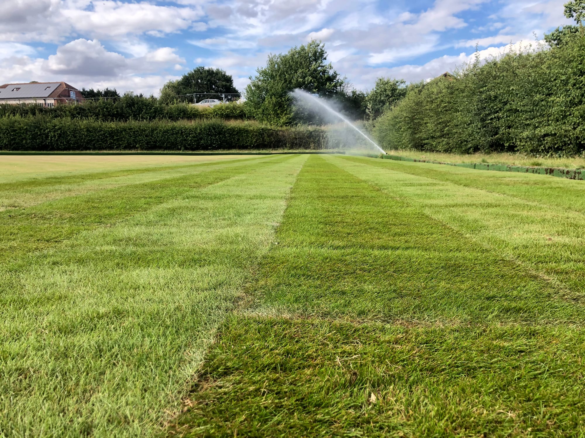 Green Repair to sunken strip & edge (Essex)