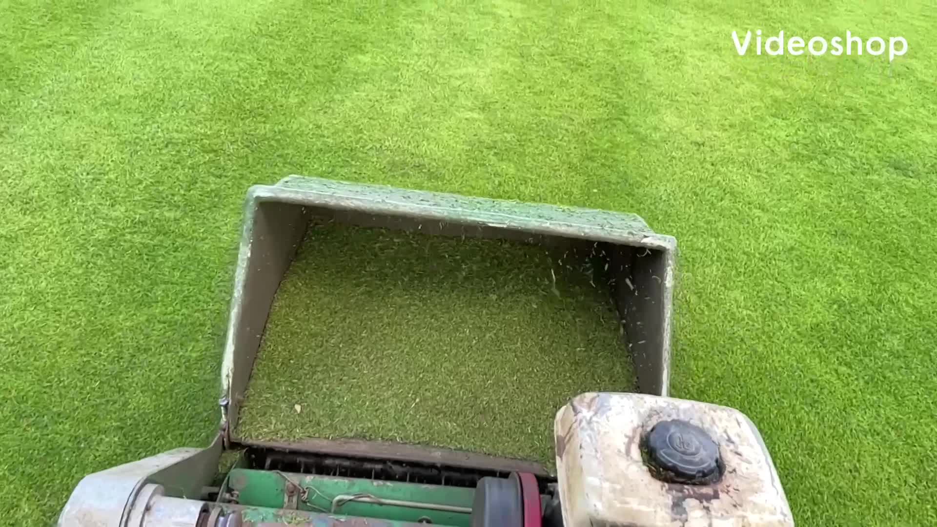 Close up bowls green scarification