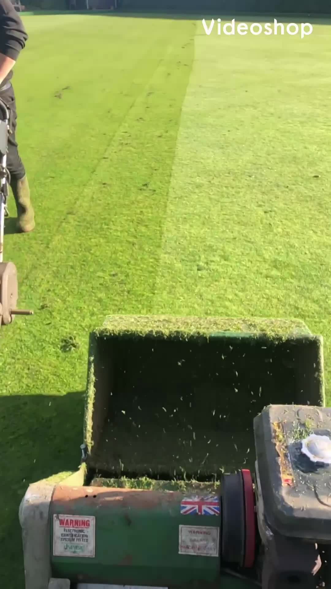 Bowling Green Scarification