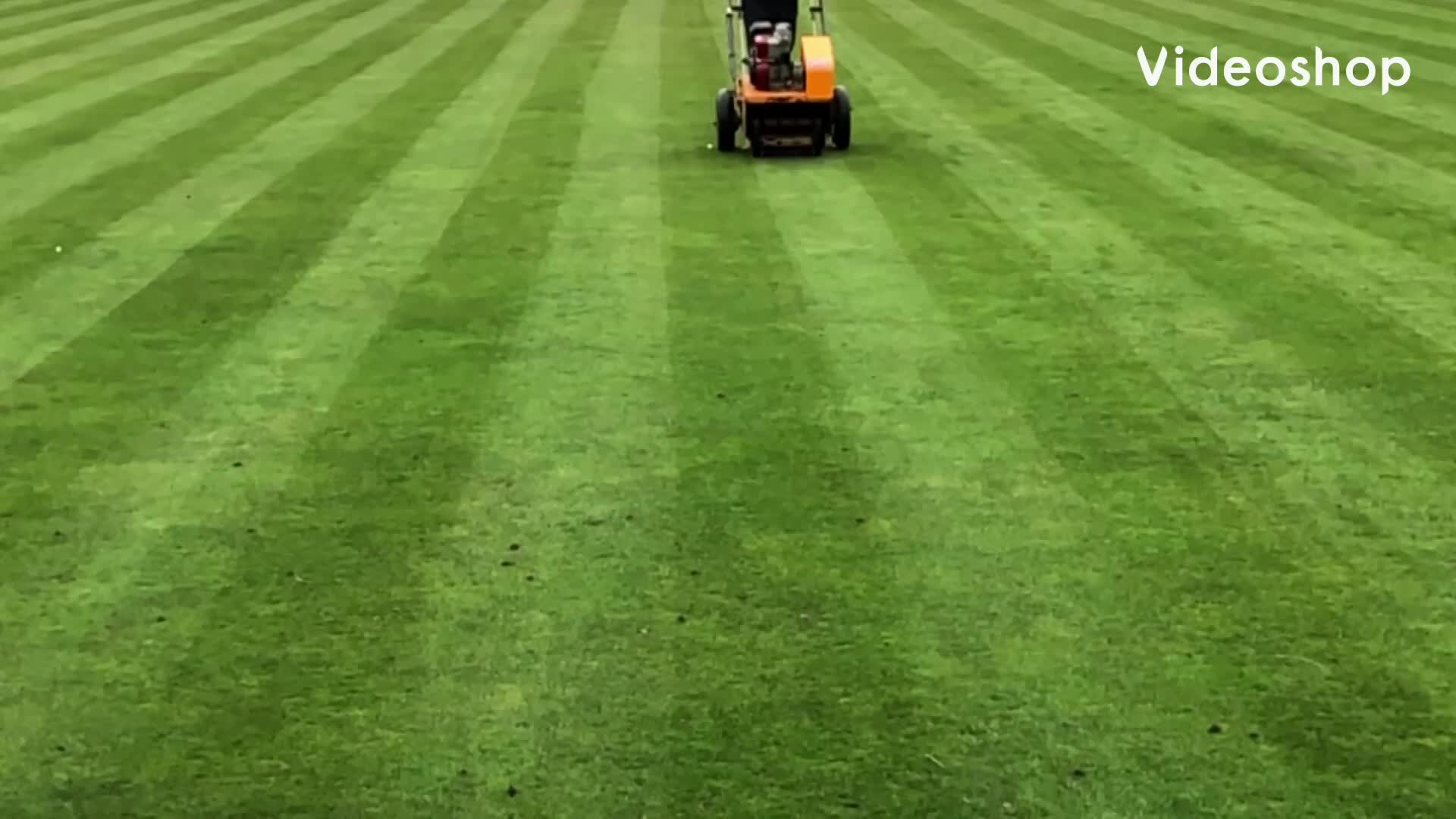 Bowling Green Spiking - Reading