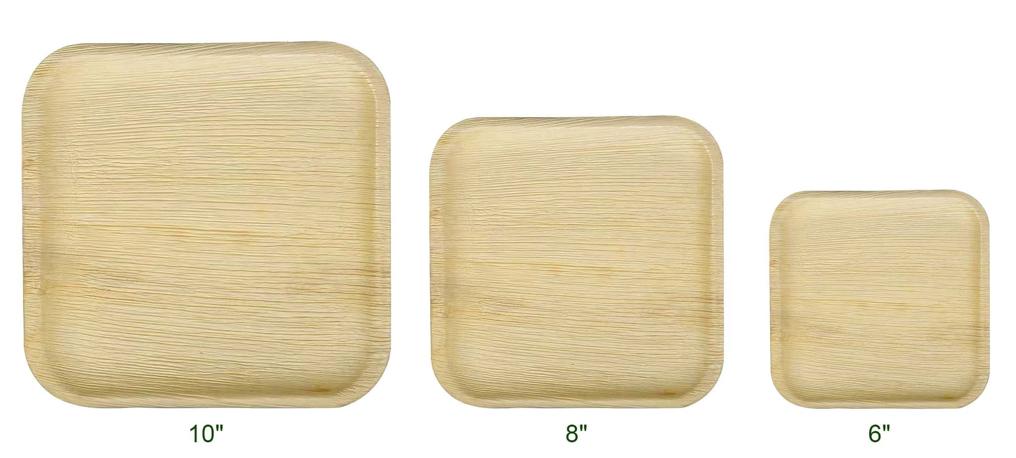 Square Palm Leaf Plate