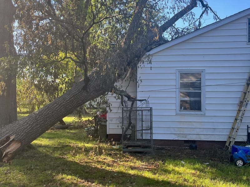 Emergency Tree Service