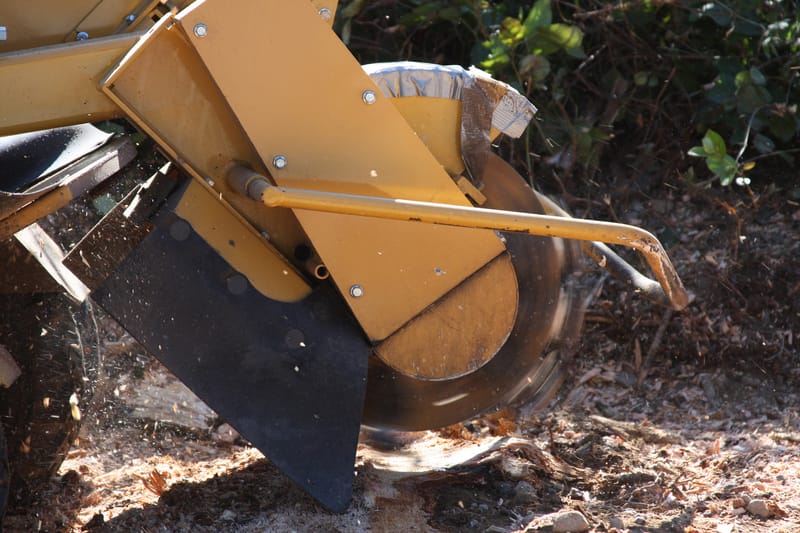 Stump Grinding