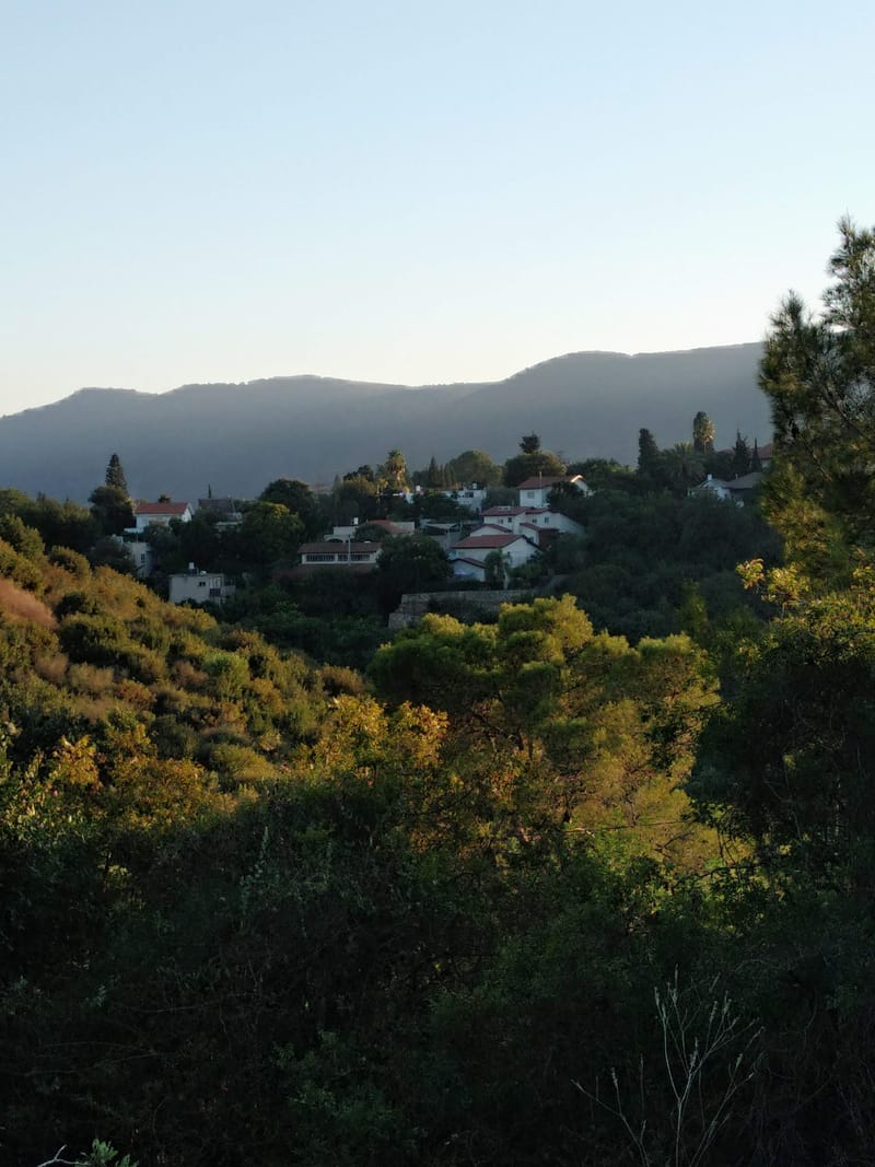 פעולה נגד האחדות