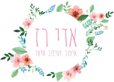 הסטודיו של אדי