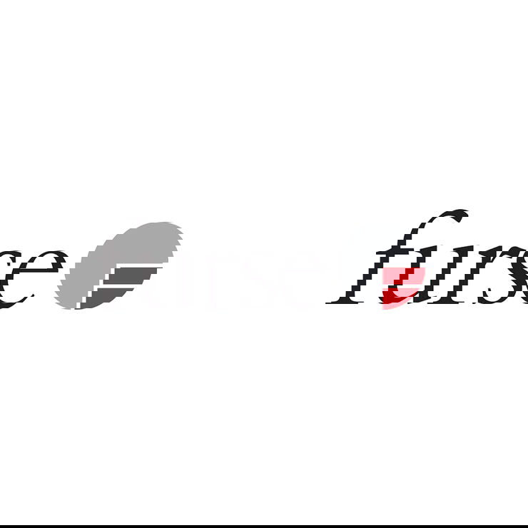 منتجات فيرس لأنظمة التأريض