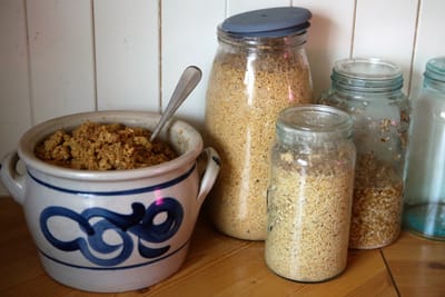 Fermentert mat til høns