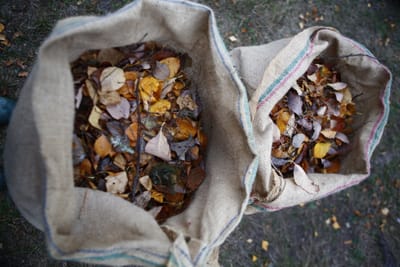 Dyp tørr og luftig talle