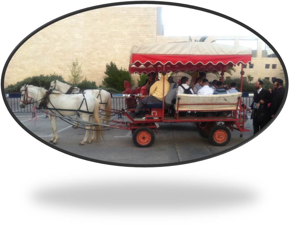 סוס ועגלה