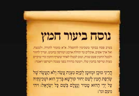 הורדות שימושיות