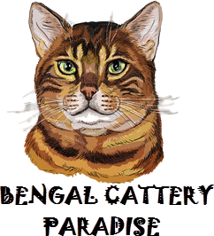 Bengalcatterypardise 1