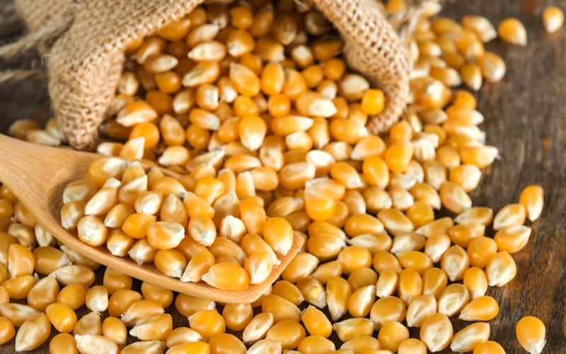 Dry Corn