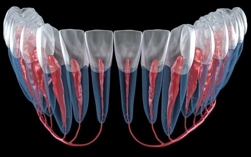 Root Canal Treatments