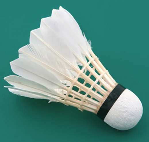 School/ Club Teaching