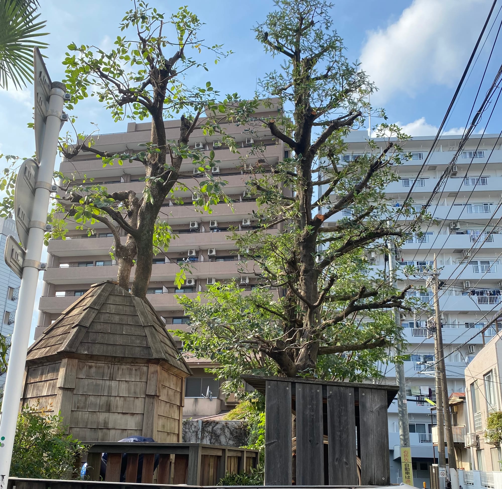もみの木保育園 太子堂　世田谷区
