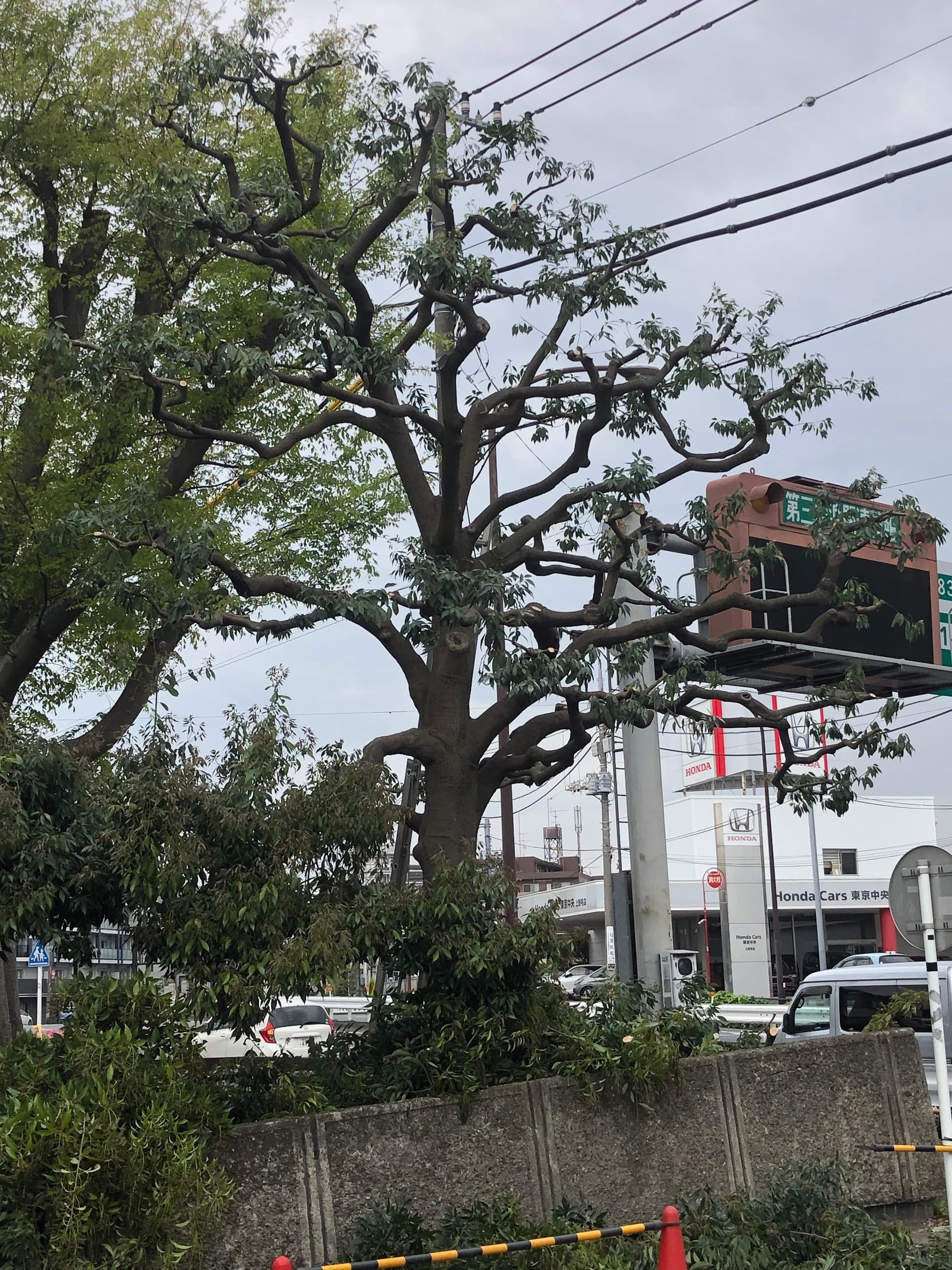 玉川野毛町公園　第三京浜入口付近