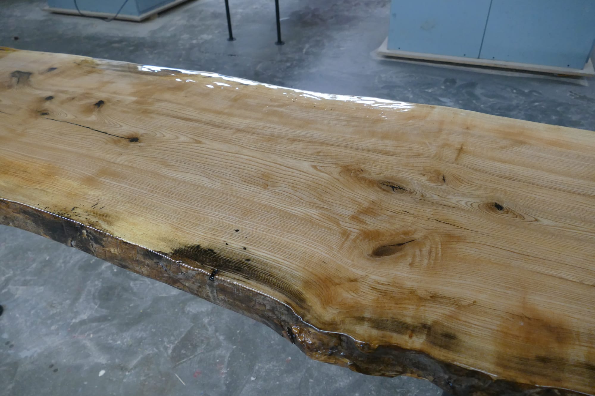 Live Edge Sycamore Coffee Table