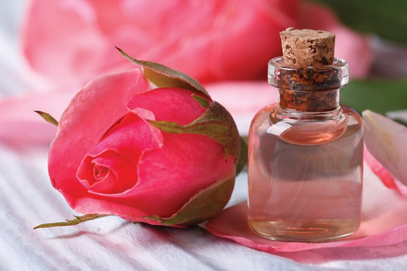 Top 10 Cách Dưỡng Da Sau Khi Triệt Lông Vĩnh Viễn