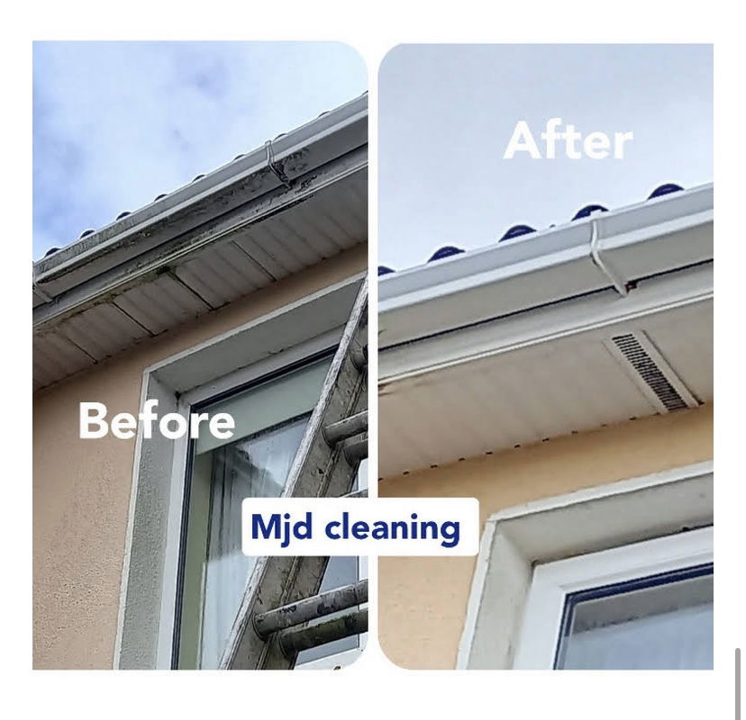 Fascia and soffit cleaning