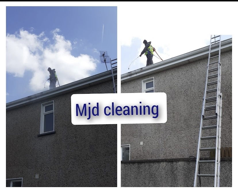 Roof cleaning