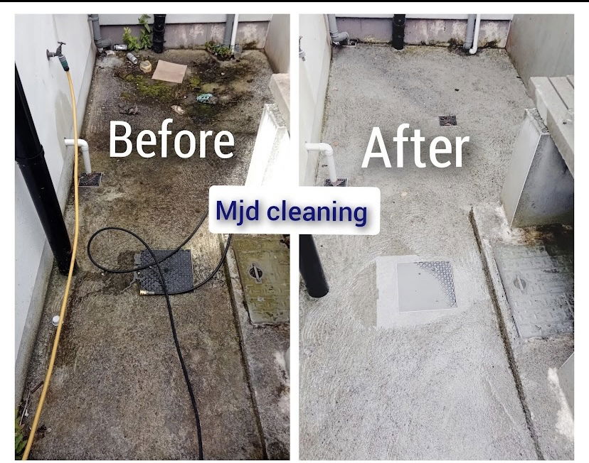 Moss and algae removal