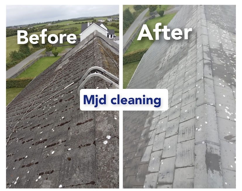 Roof cleaning