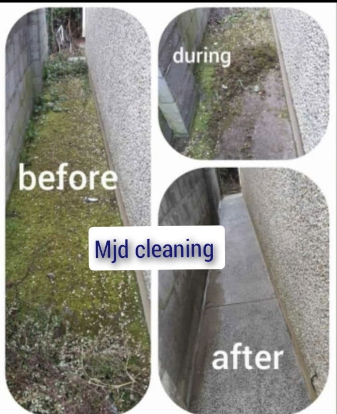 Green algae moss removal
