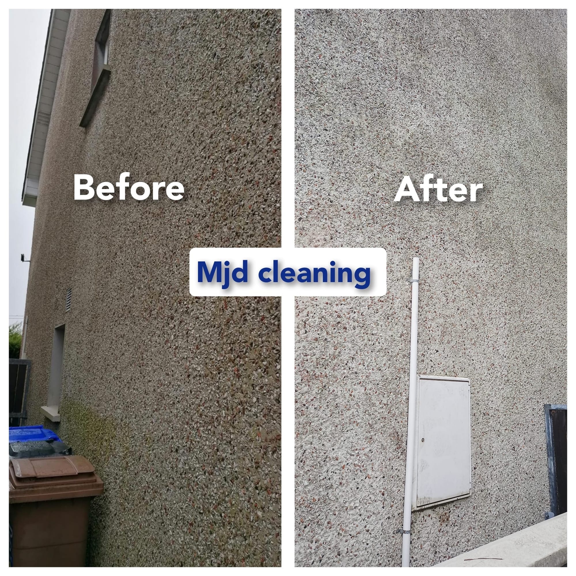 Red algae removal