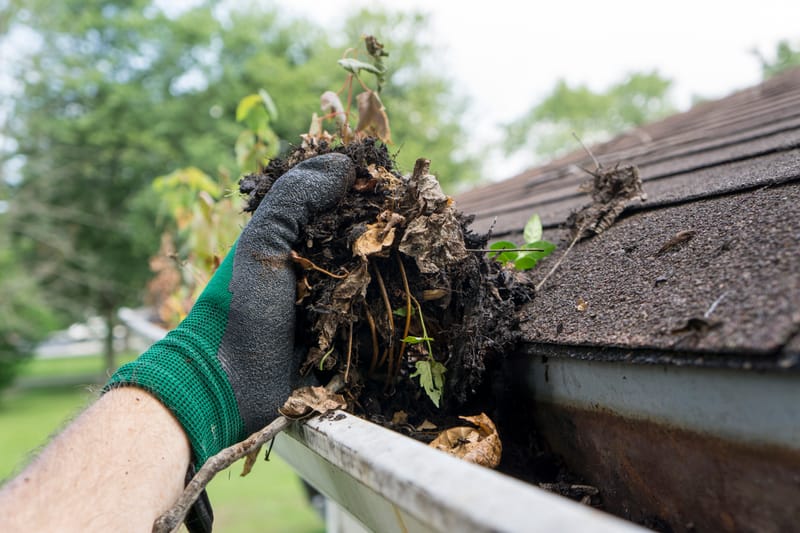 Gutter cleaning Galway