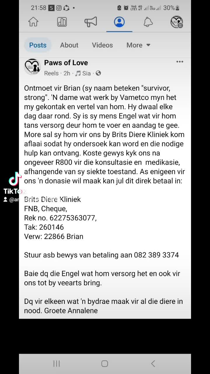 Brian