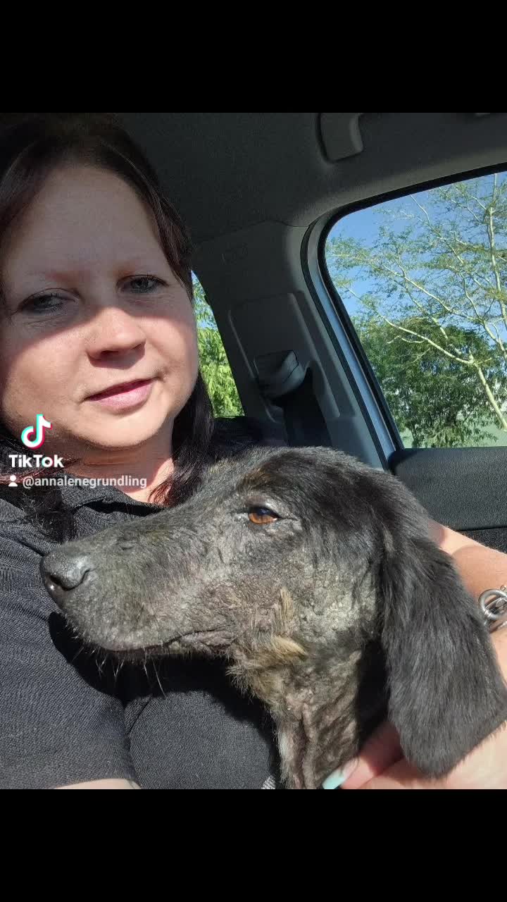 BRIAN ADOPTED
