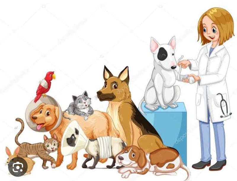 VETERINARIAN HELP