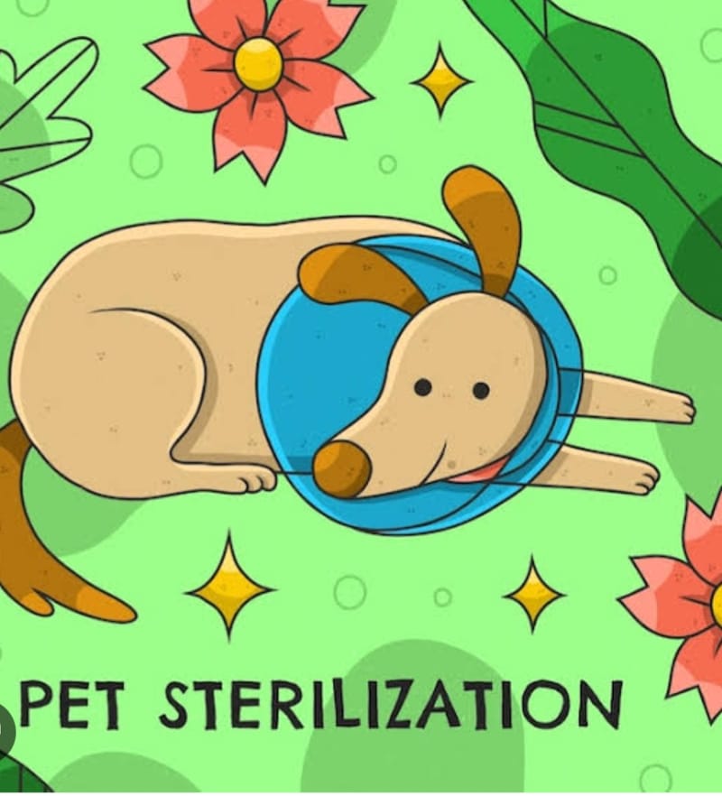 STERILIZATIONS