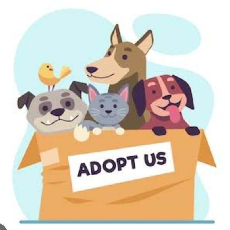 REHOMING