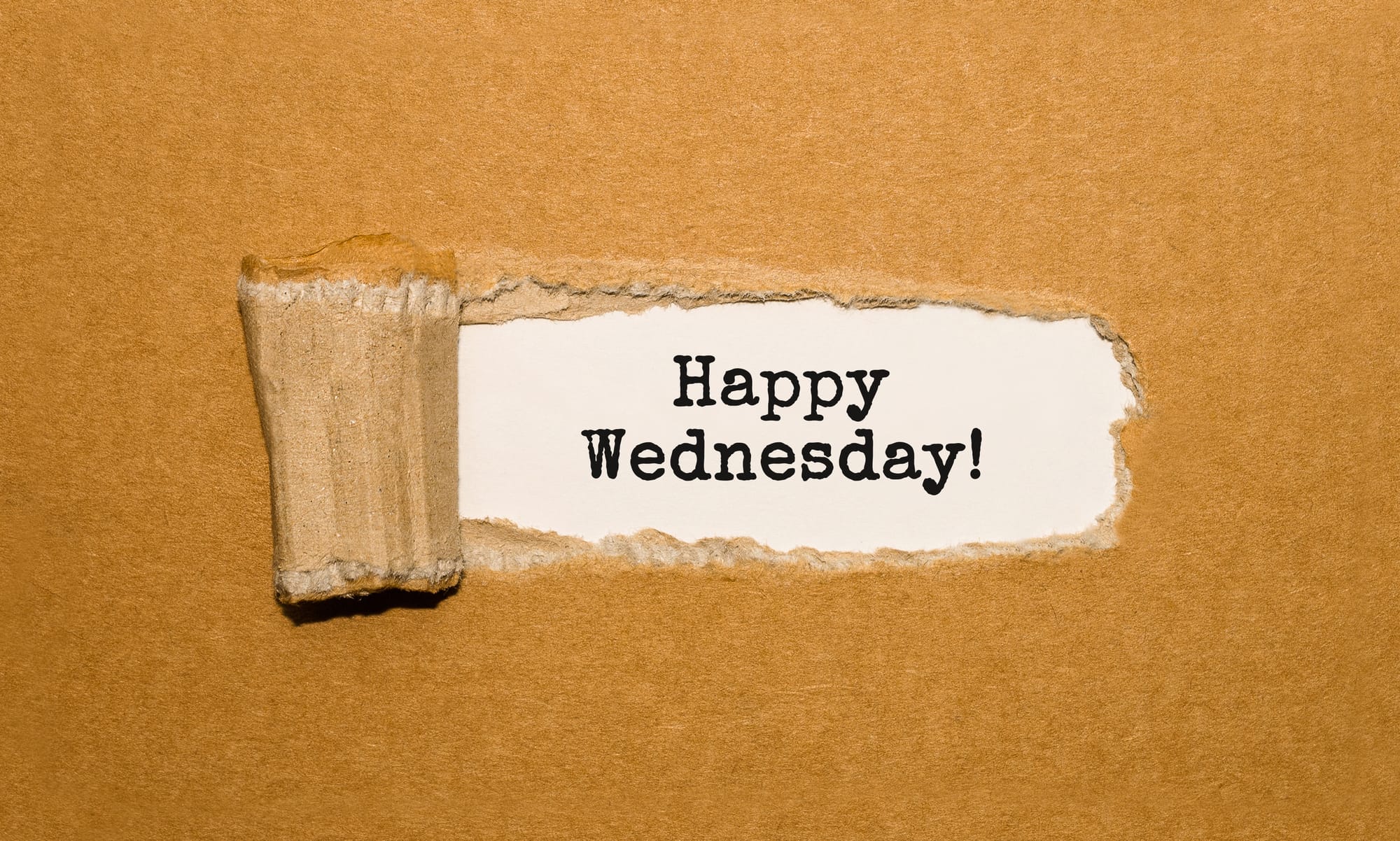 Roxana Carolina Corradino: WAP Woman Wednesday
