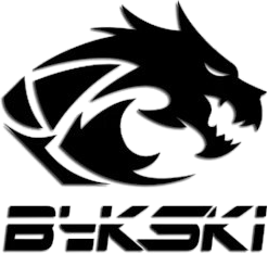 Bykski1