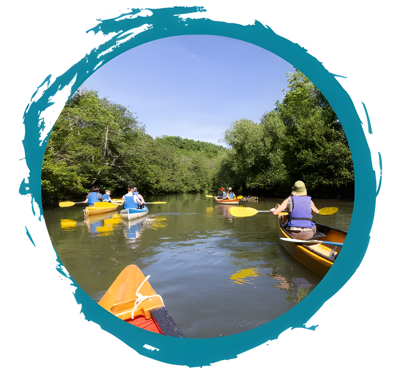 Promenade découverte