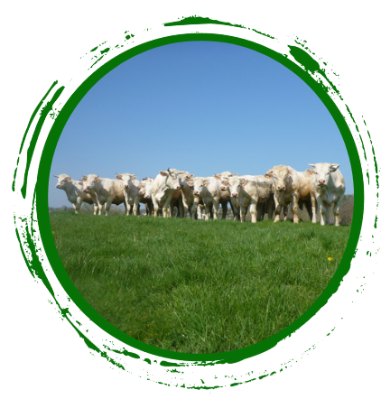 Randonnée marche & canoë-kayak