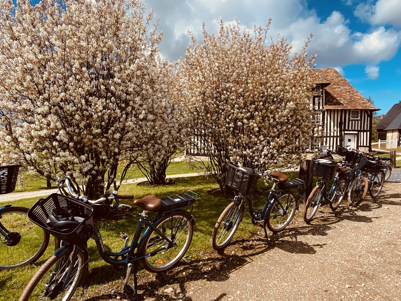 The Seine-Maritime coastal cycle route (from Le Havre to Tréport)