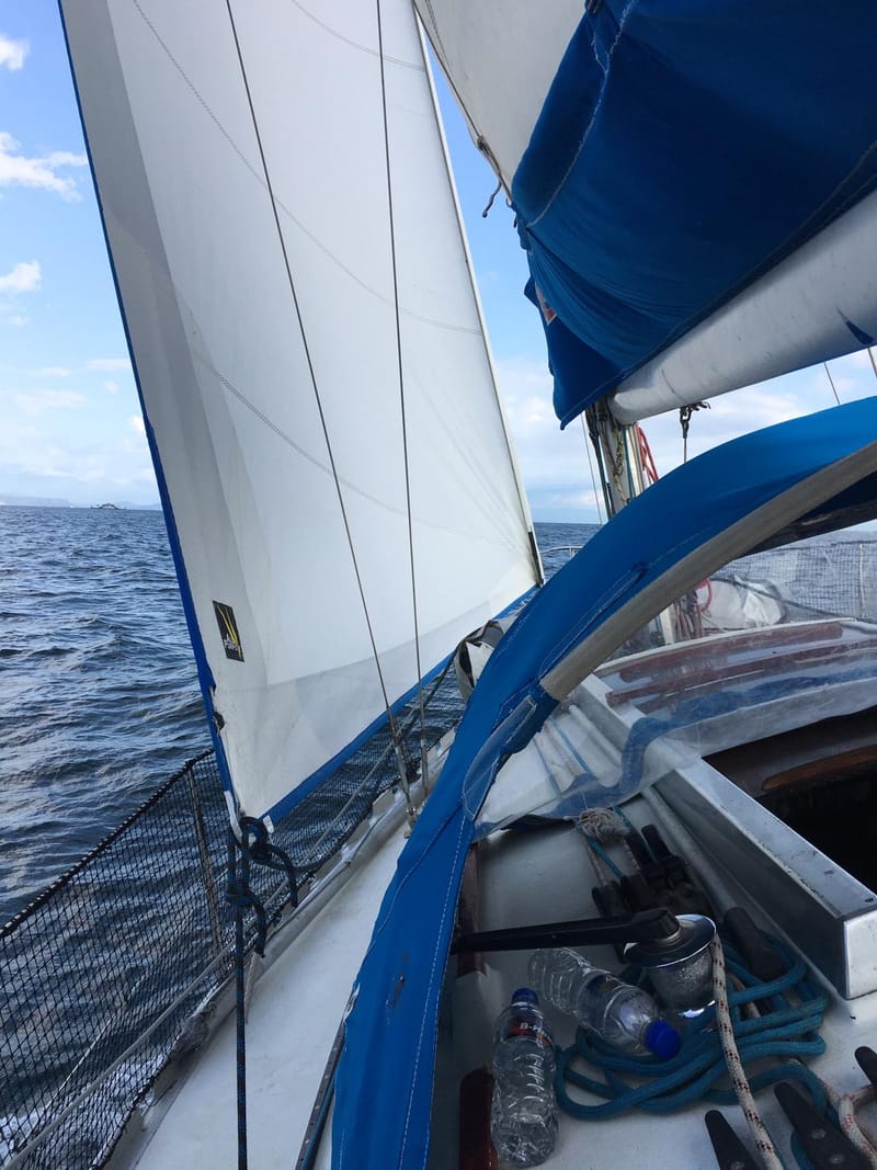 GENOIS / COUPE HORIZONTALE