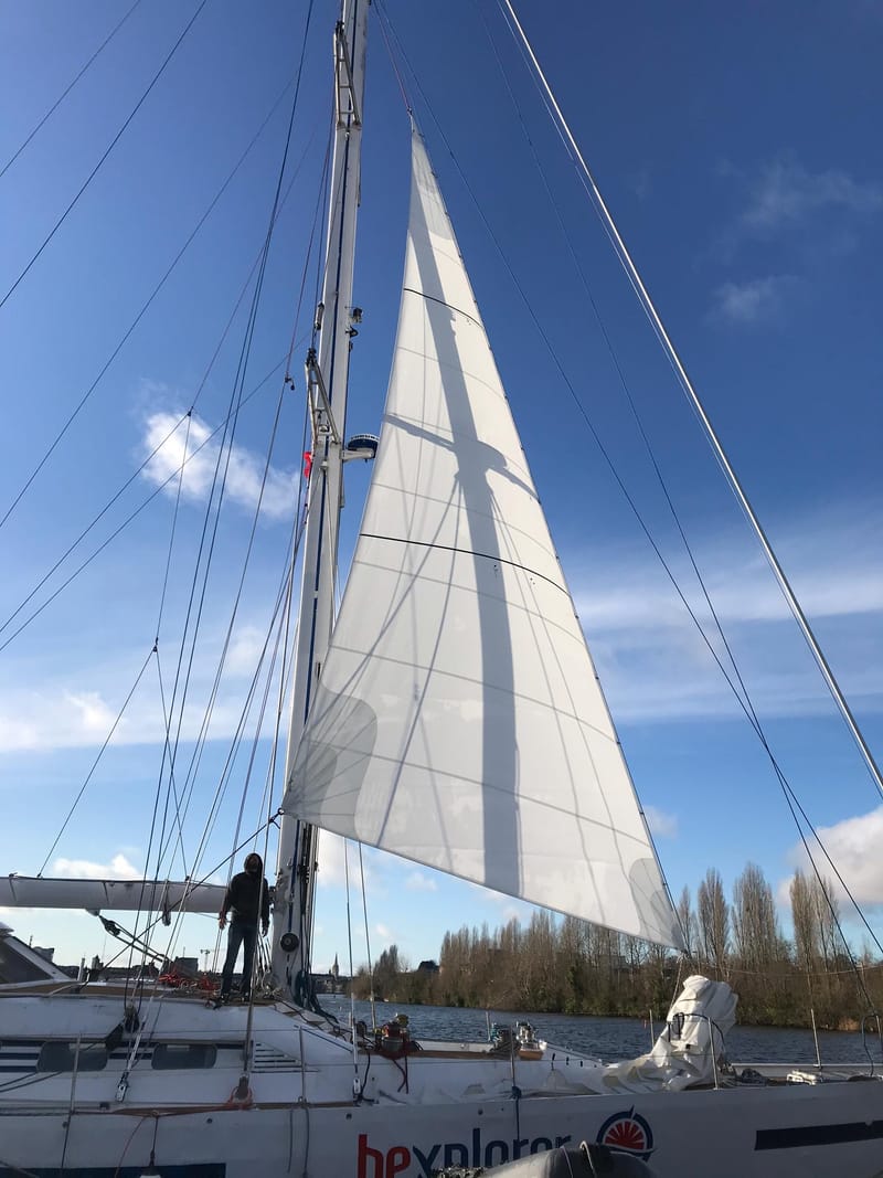 GENOIS / COUPE HORIZONTALE