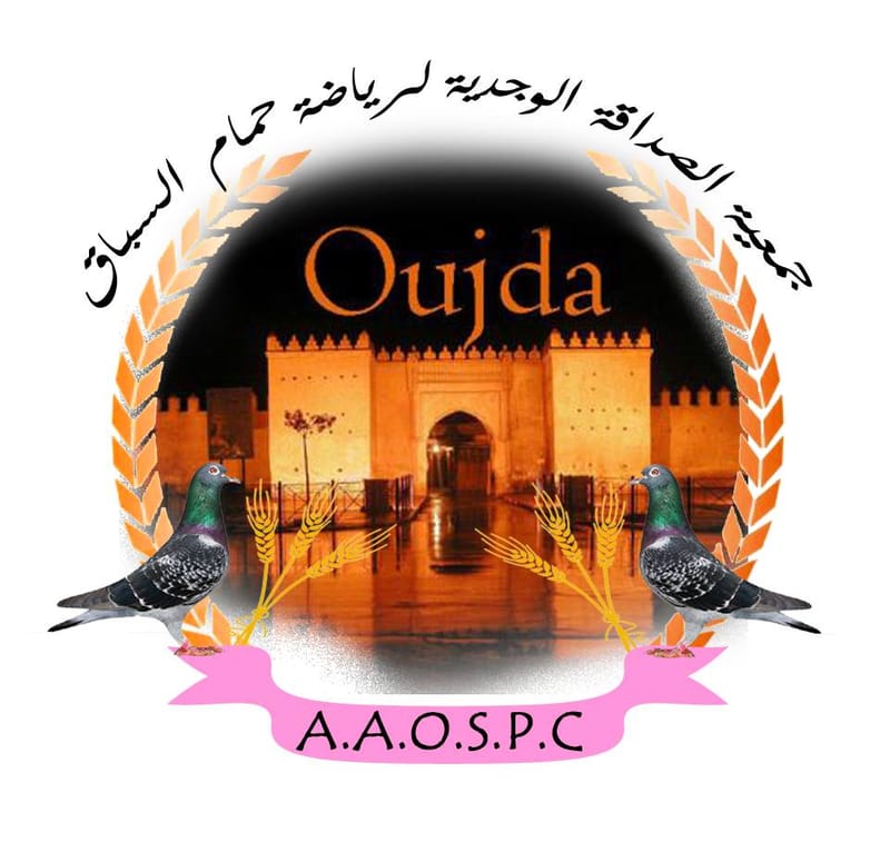 جمعية الصداقة الوجدية لرياضة حمام السباق
