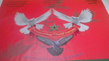 hadil pigeon voyageur et ornamenta & هديل للحمام الزاجل والديكور